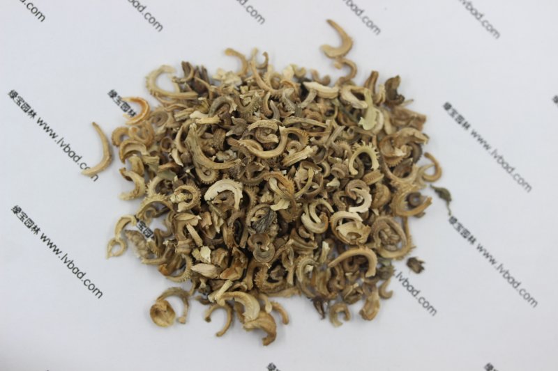 <a href='http://fscangbo.com/caohuazhongzi/1571.html' target='_blank'>金盞菊</a><a href='http://fscangbo.com/' target='_blank'>種子</a>圖片