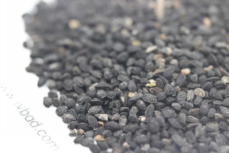 <a href='http://fscangbo.com/caohuazhongzi/1061.html' target='_blank'>黑種草</a><a href='http://fscangbo.com/' target='_blank'>種子</a>