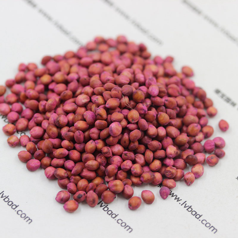 高丹草<a href='http://fscangbo.com/' target='_blank'>種子</a>