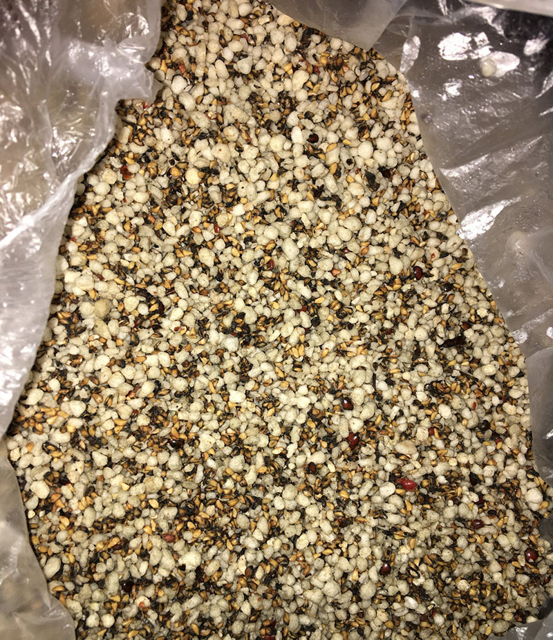 <a href='http://fscangbo.com/tengbenpanyuanzhiwu/3570.html' target='_blank'>月季</a>花<a href='http://fscangbo.com/' target='_blank'>種子</a>冷積<a href='http://fscangbo.com/shichangjiage/21353.html' target='_blank'>催芽</a>