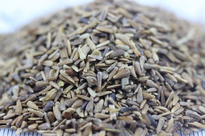 <a href='http://fscangbo.com/caohuazhongzi/1033.html' target='_blank'>翠菊種子</a>