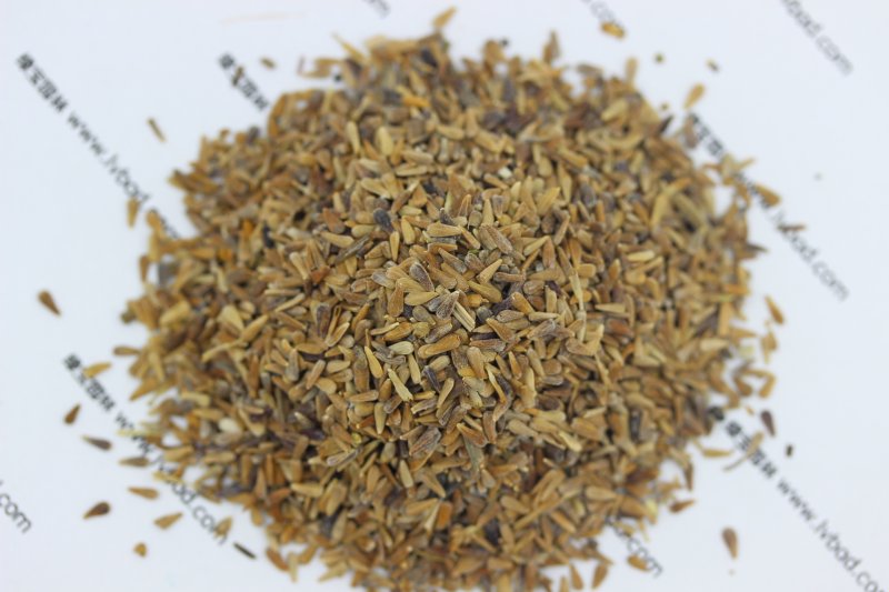 翠菊<a href='http://fscangbo.com/' target='_blank'>種子</a>